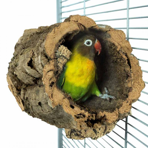 Аксесоари - ParrotsLab.BG