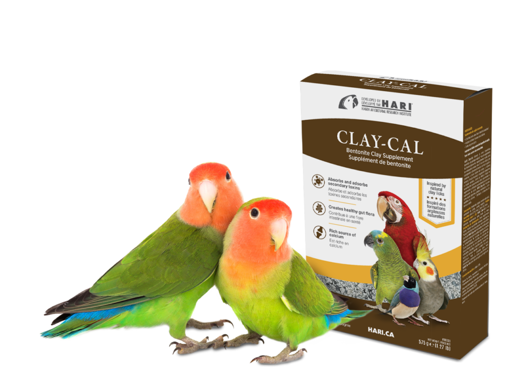 claycal 1300x960 3