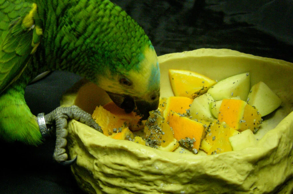 claycal image1 1024x676