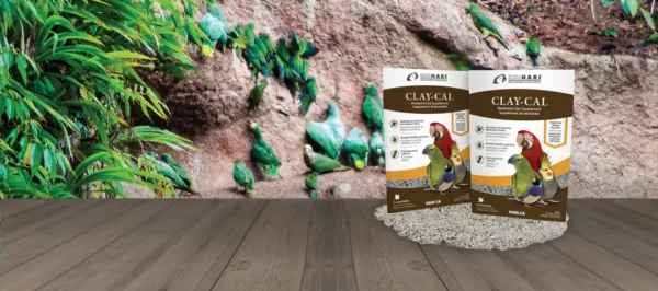 🦜 clay cal – Натурална детокс добавка с калций и бентонитова глина за всички домашни птици
